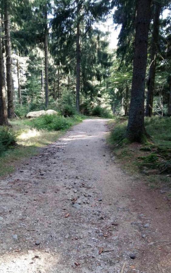 Bergerlebnis Pur Apartament